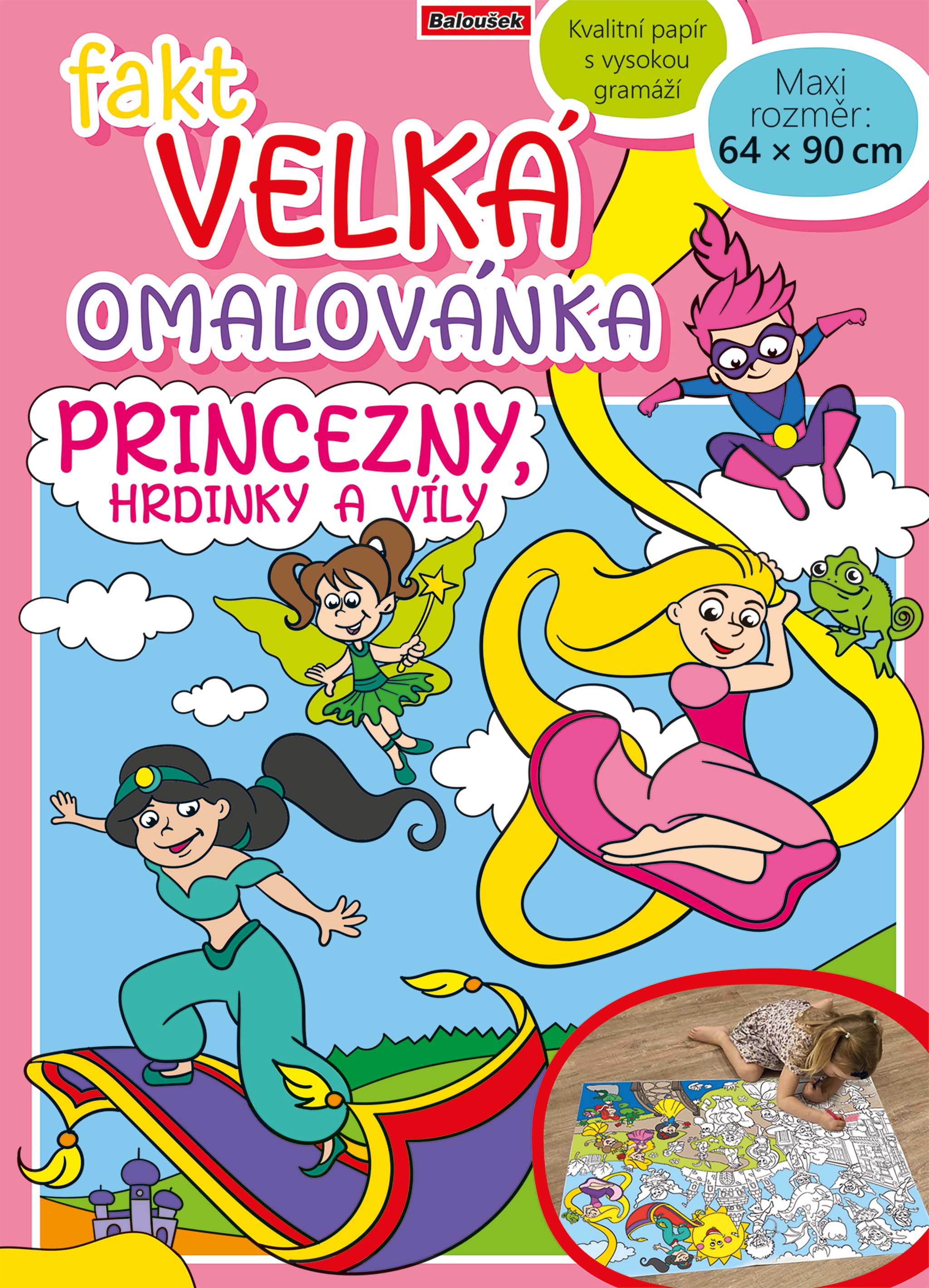 Vybraný obrázek