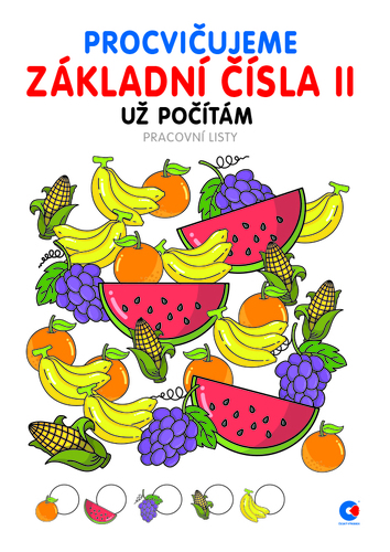 Procvičujeme